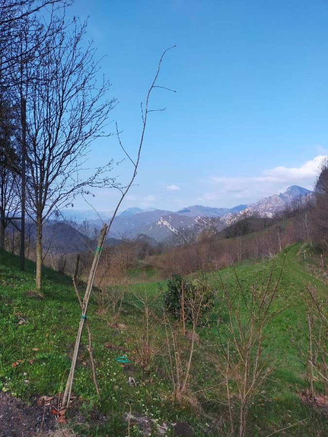 Chalet Simonetta - Locanda Da Tullio Capovalle Luaran gambar